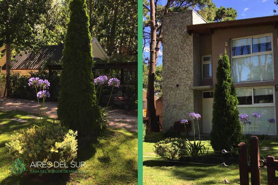 Casa del Bosque